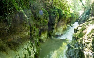 Ouverture des Gorges du Sierroz